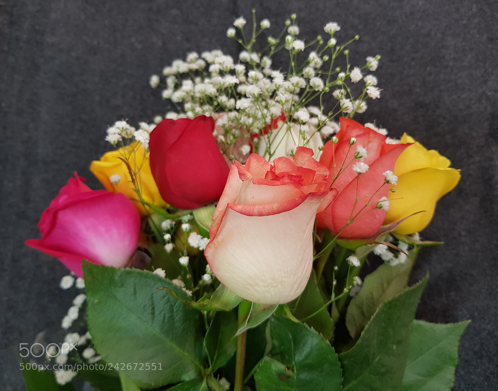 Samsung Galaxy S8+ sample photo. Rosas de color en photography