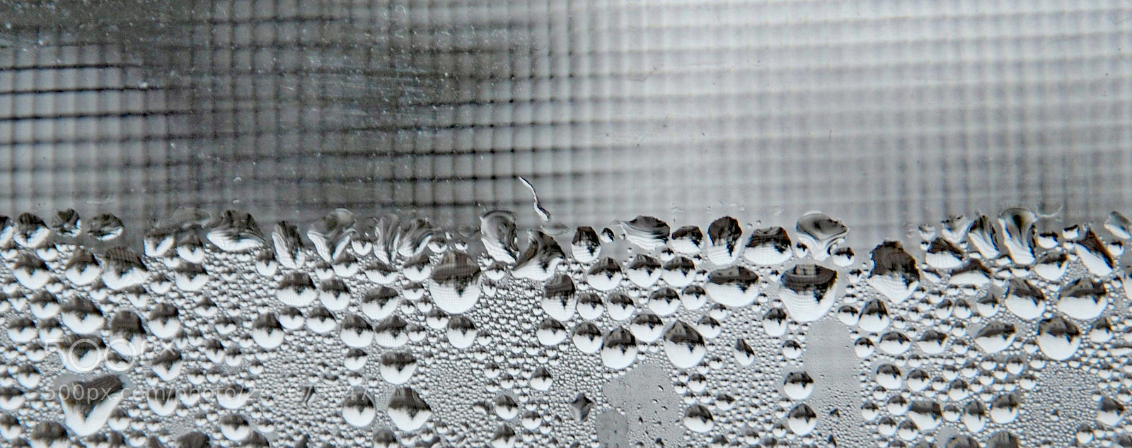 Nikon D60 sample photo. Frosted window reflection. photography
