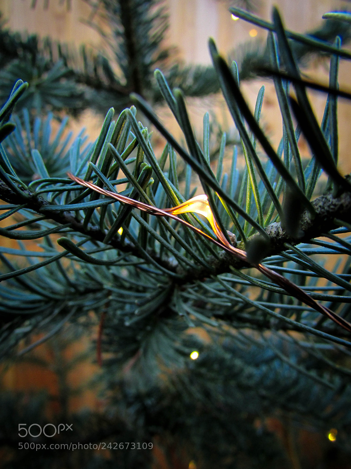 Canon PowerShot SX500 IS sample photo. Little fire. photography