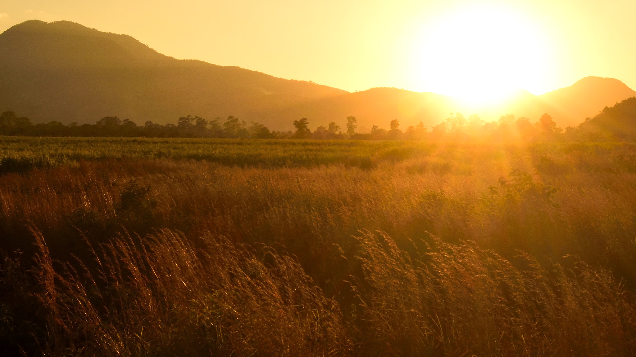AF Zoom-Nikkor 28-80mm f/3.3-5.6G sample photo. Sol photography