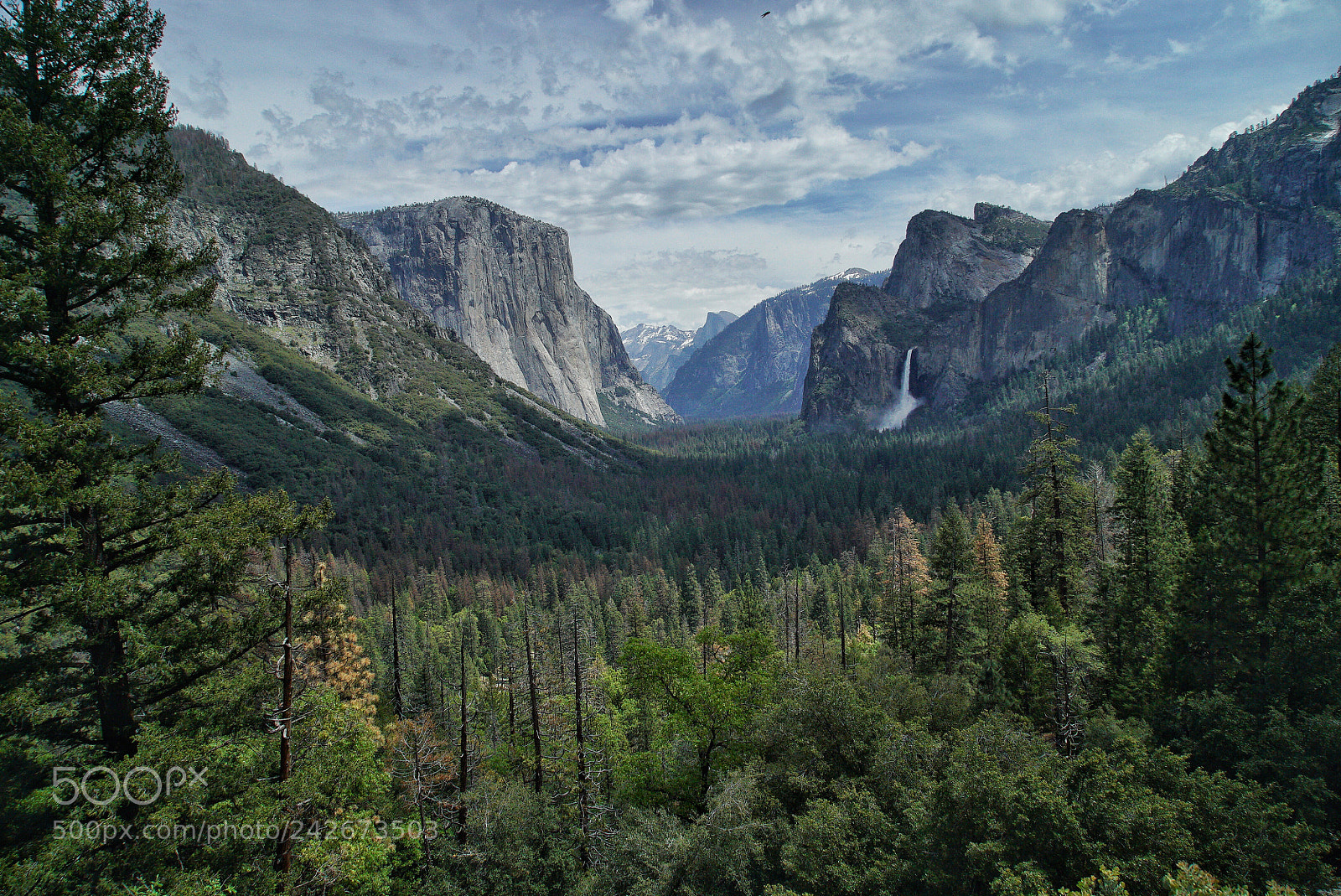 Sony a7S II sample photo. Yosemite photography