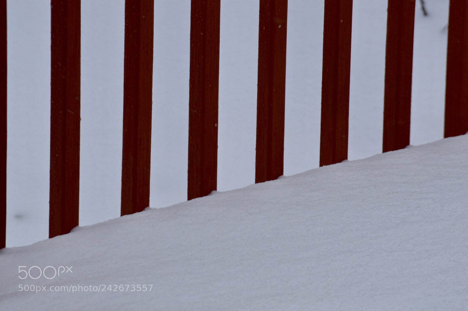 Nikon D3200 sample photo. Snowing photography