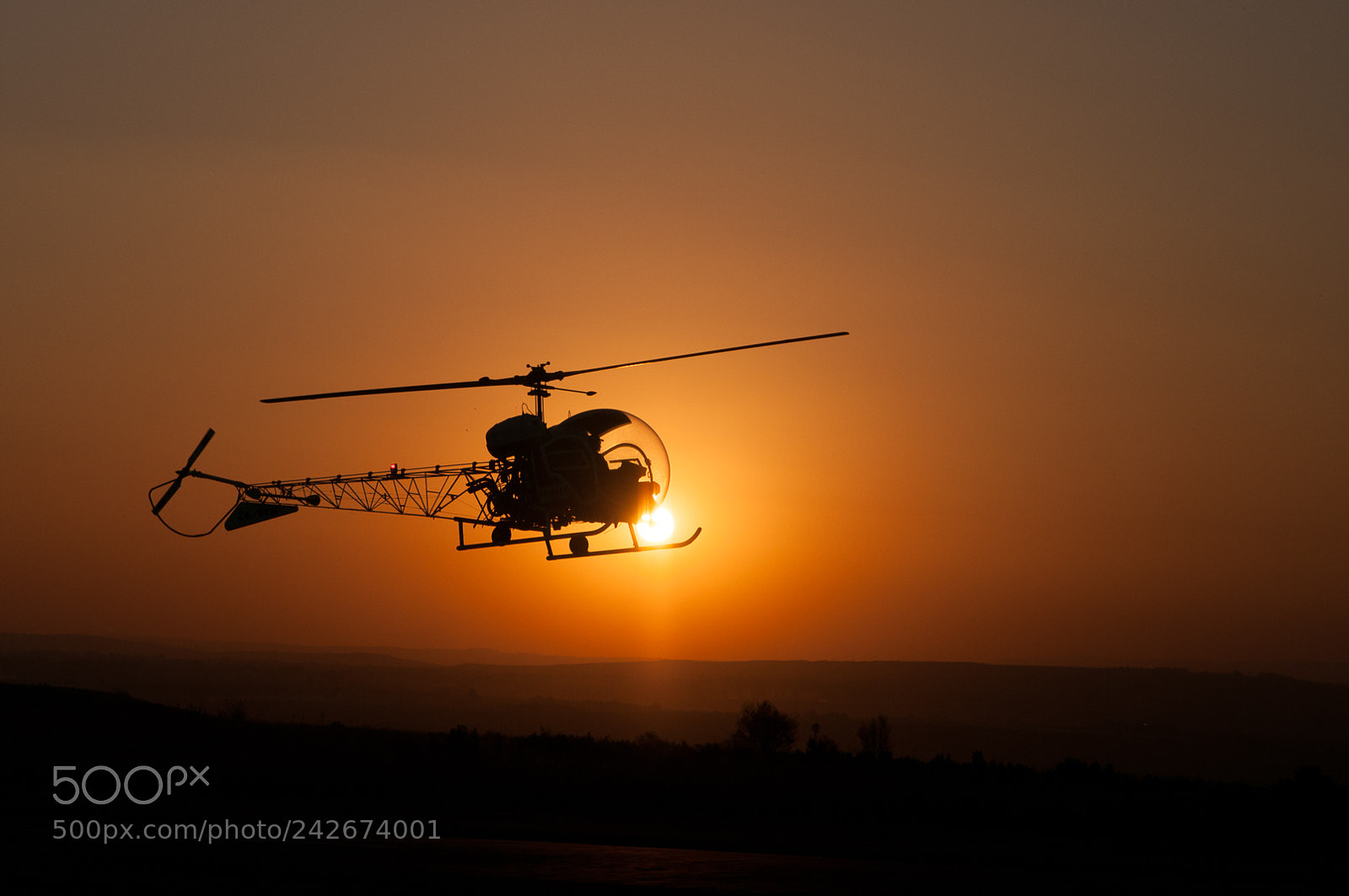 Nikon D300S sample photo. Into the sun photography
