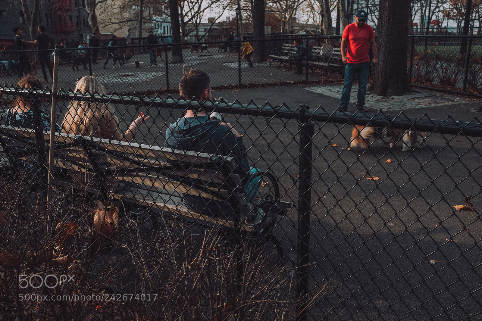 Fujifilm X100S sample photo. At the park photography