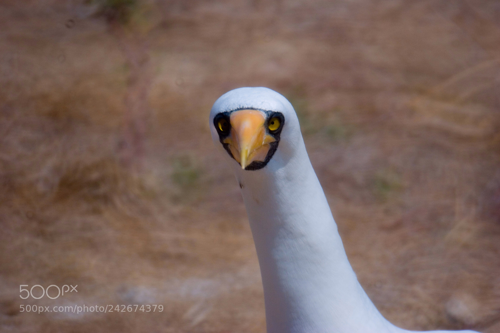 Canon EOS 20D sample photo. Ecuador photography