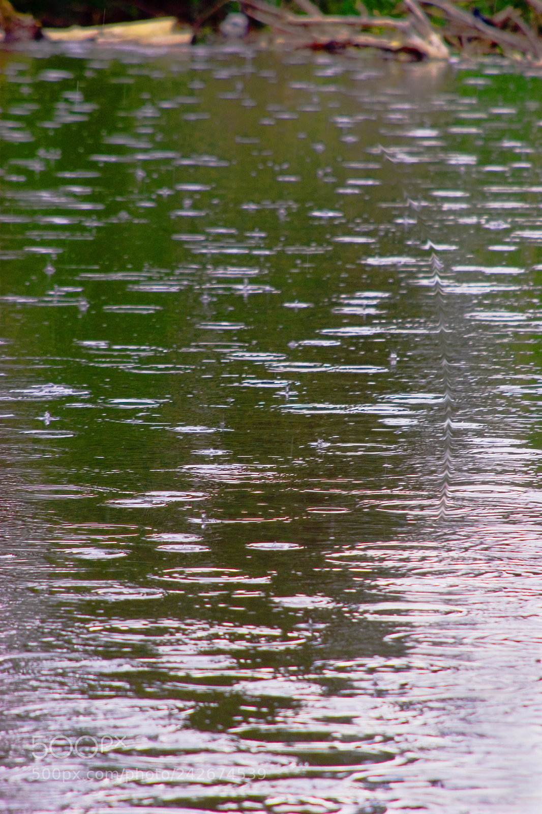 Canon EOS 20D sample photo. Raining photography