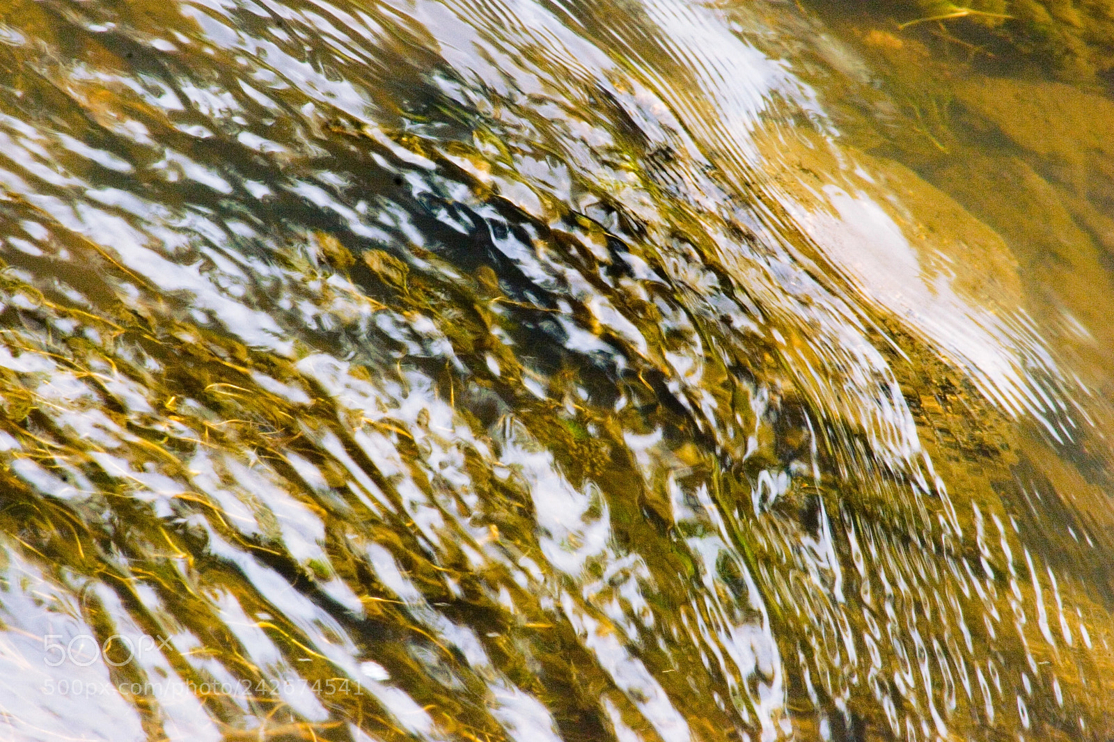 Canon EOS 20D sample photo. Stream of seawater photography