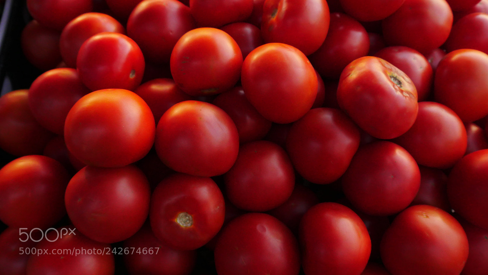 Panasonic Lumix DMC-GX8 sample photo. Tomatoes photography
