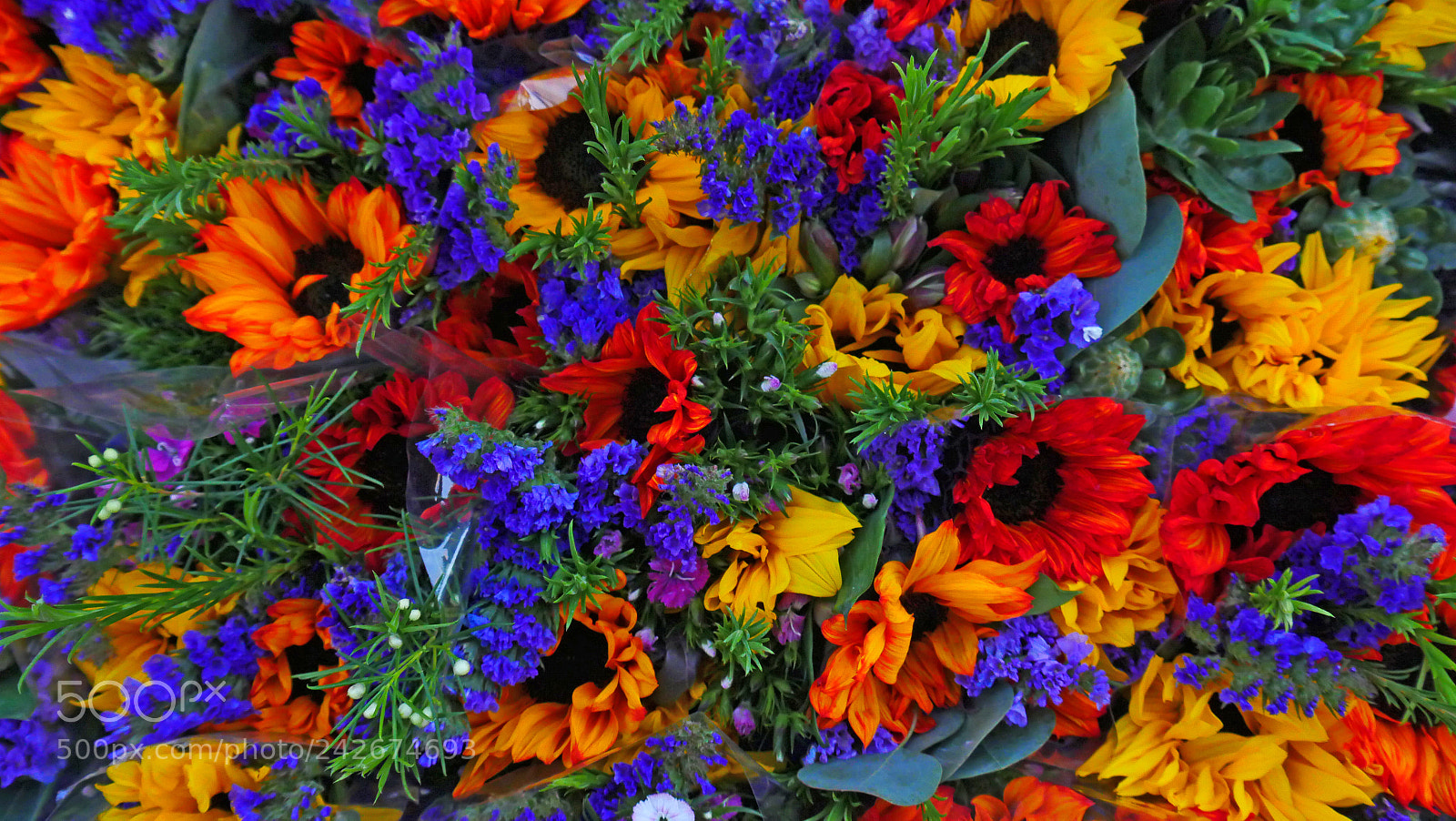 Panasonic Lumix DMC-GX8 sample photo. Bouquet photography