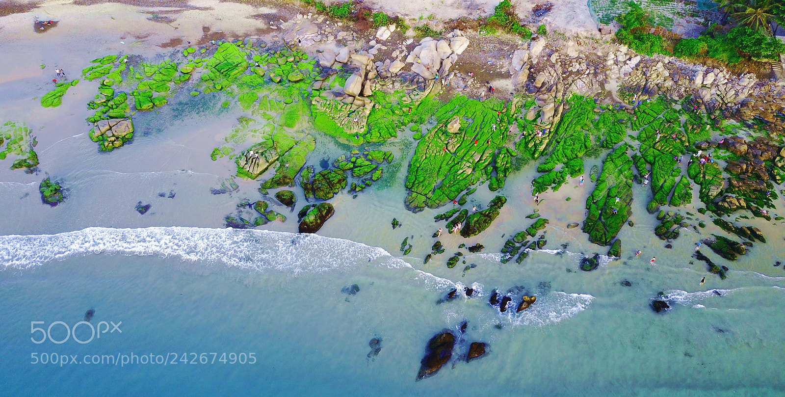 DJI FC220 sample photo. Moss of co thach photography