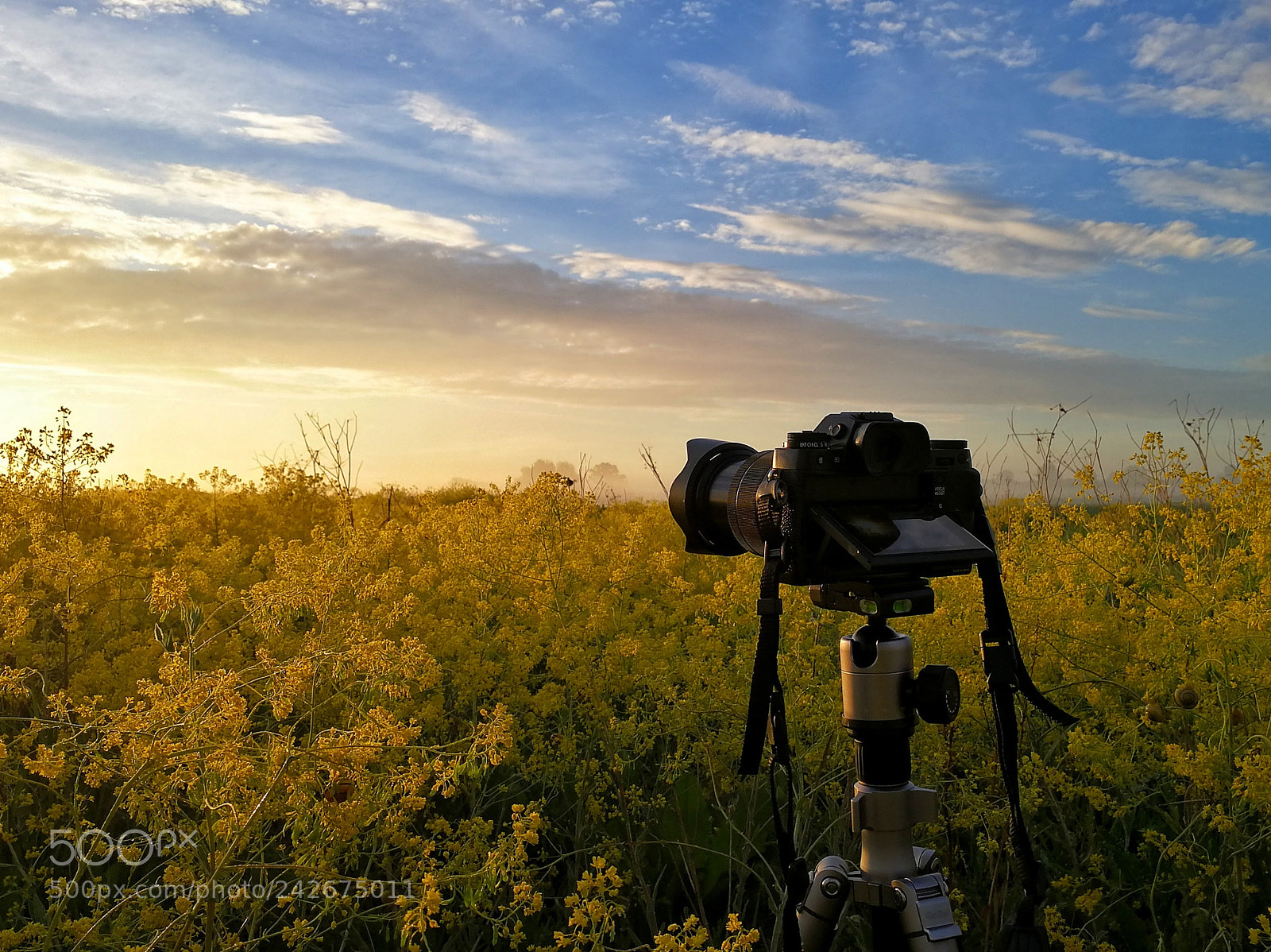 HUAWEI Mate 9 sample photo. 'photographers moment iii' photography