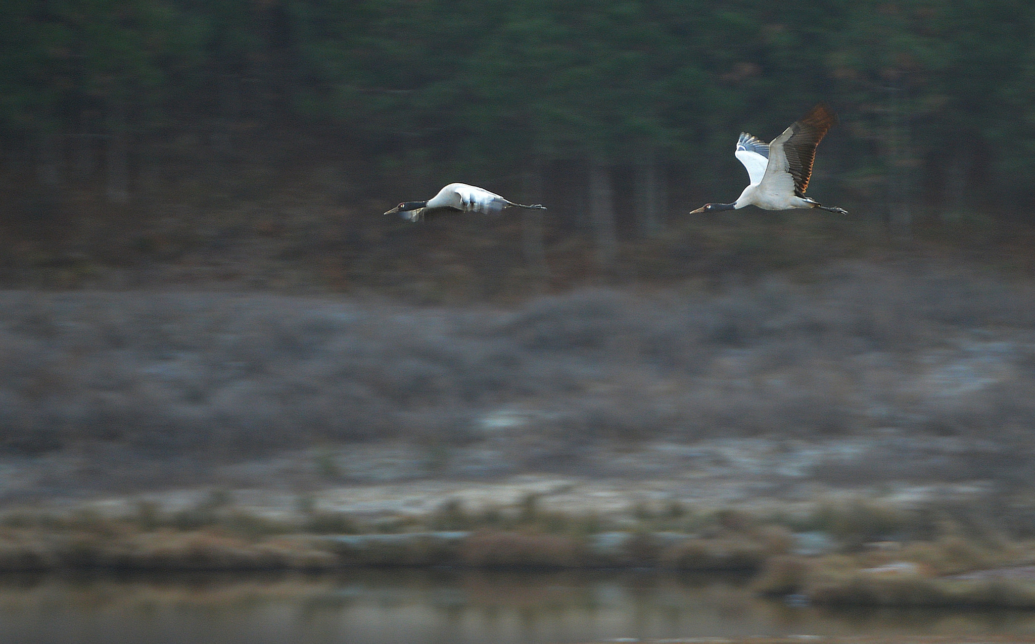 Nikon D800 sample photo