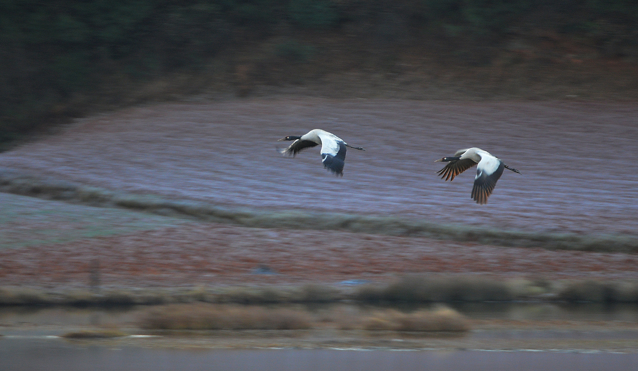 Nikon D800 sample photo