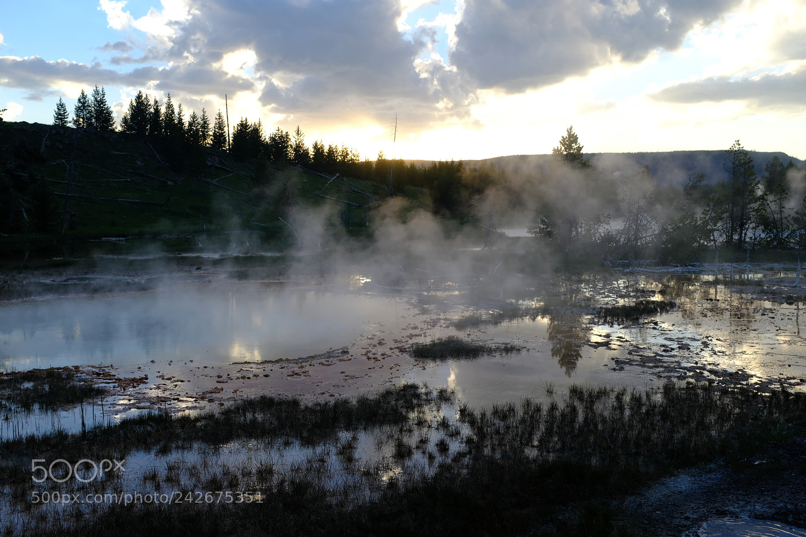 Fujifilm X100F sample photo. Yellowstone photography