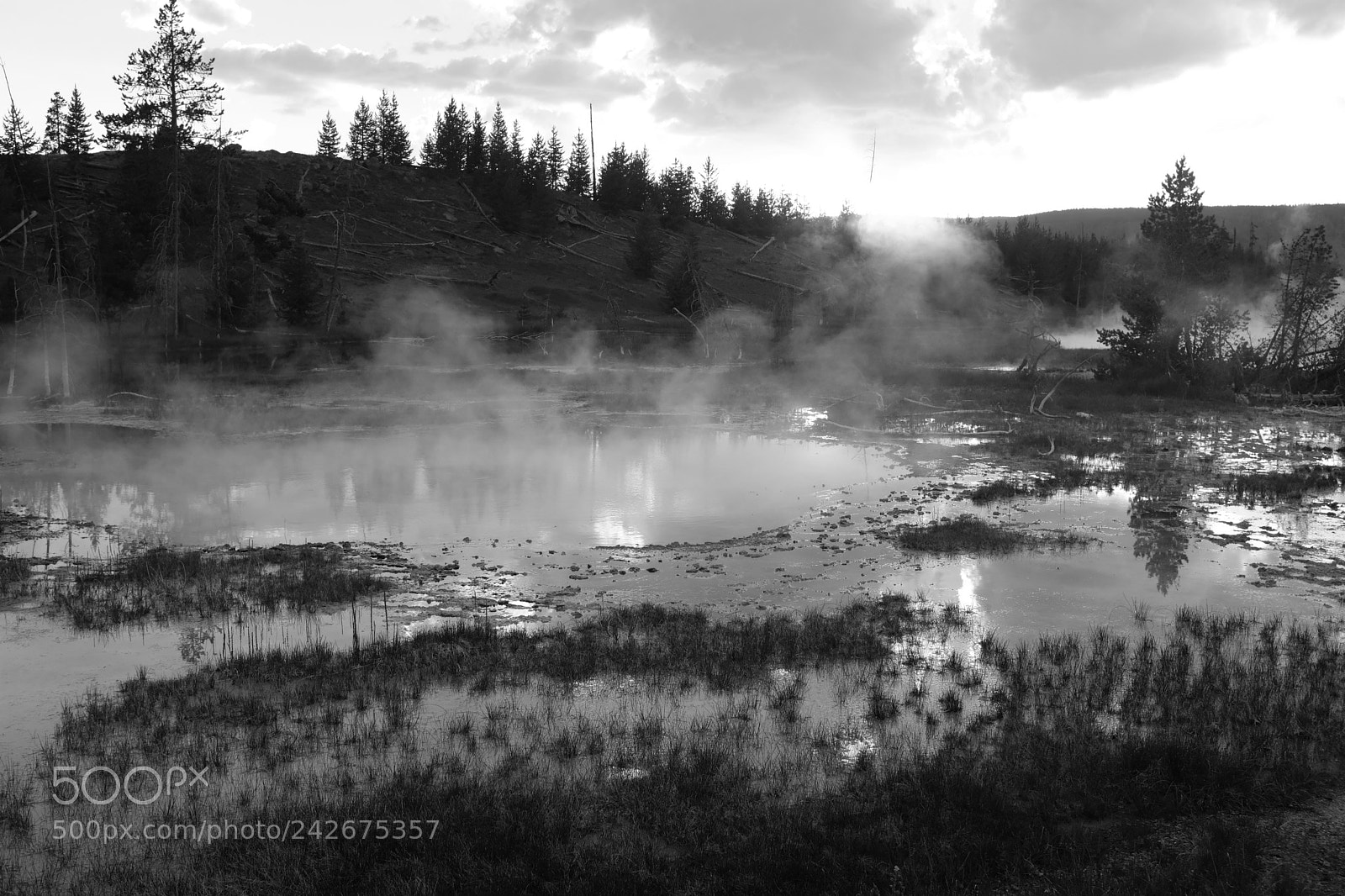 Fujifilm X100F sample photo. Yellowstone photography