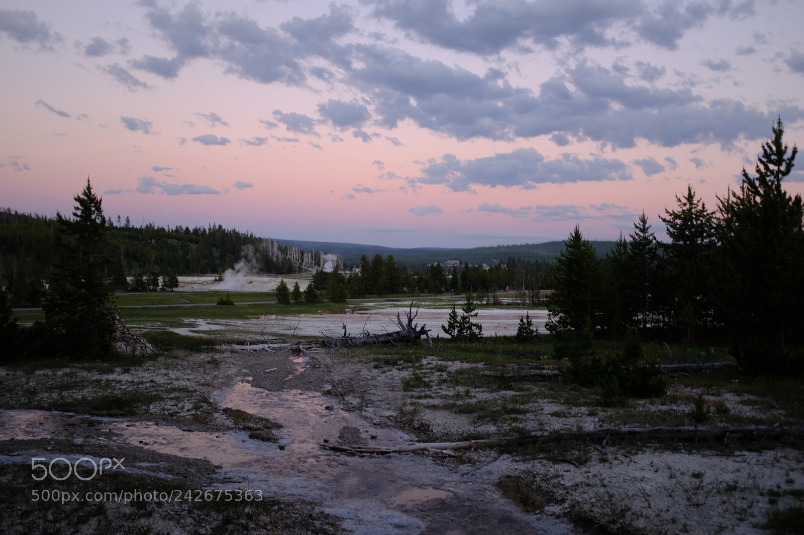 Fujifilm X100F sample photo. Yellowstone photography