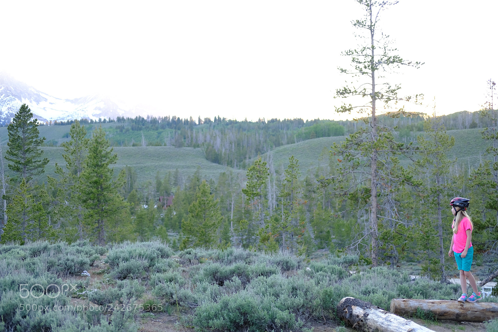 Fujifilm X-T2 sample photo. Sawtooth mountains photography
