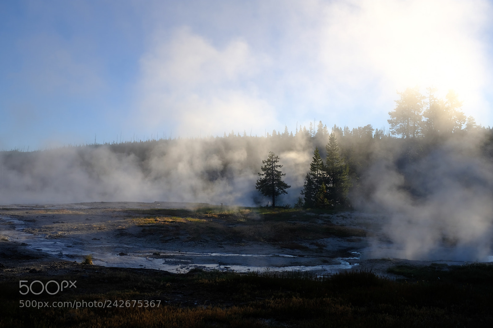 Fujifilm X100F sample photo. Yellowstone photography