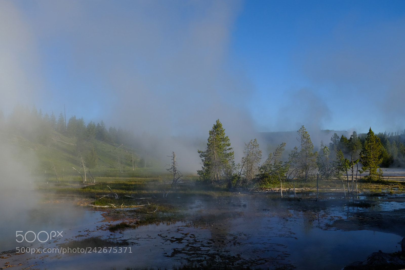 Fujifilm X100F sample photo. Yellowstone photography