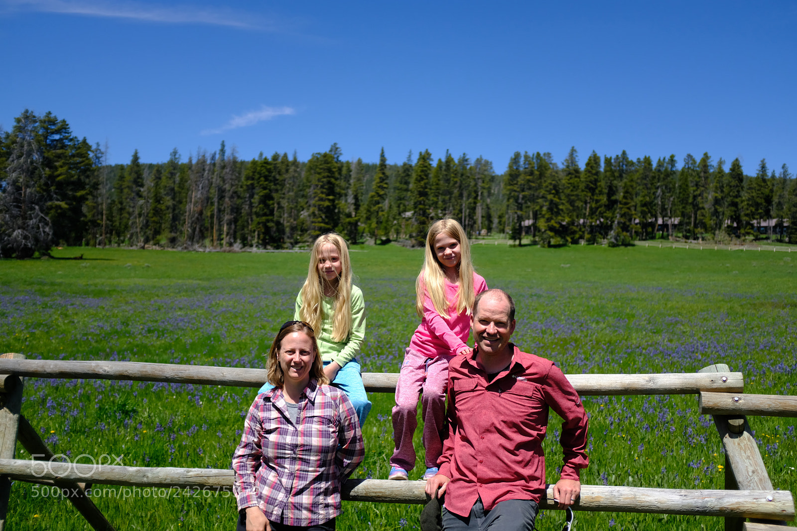 Fujifilm X100F sample photo. Yellowstone photography