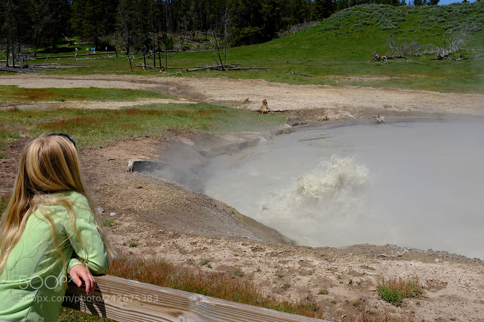 Fujifilm X100F sample photo. Yellowstone photography