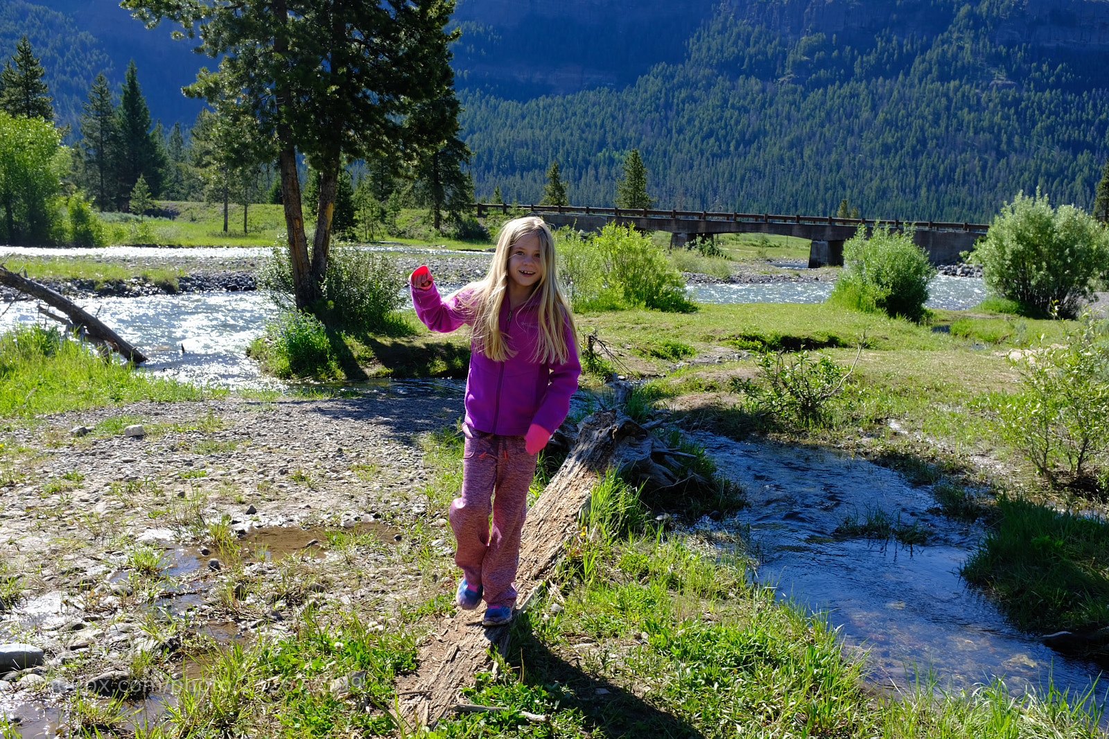 Fujifilm X100F sample photo. Yellowstone photography
