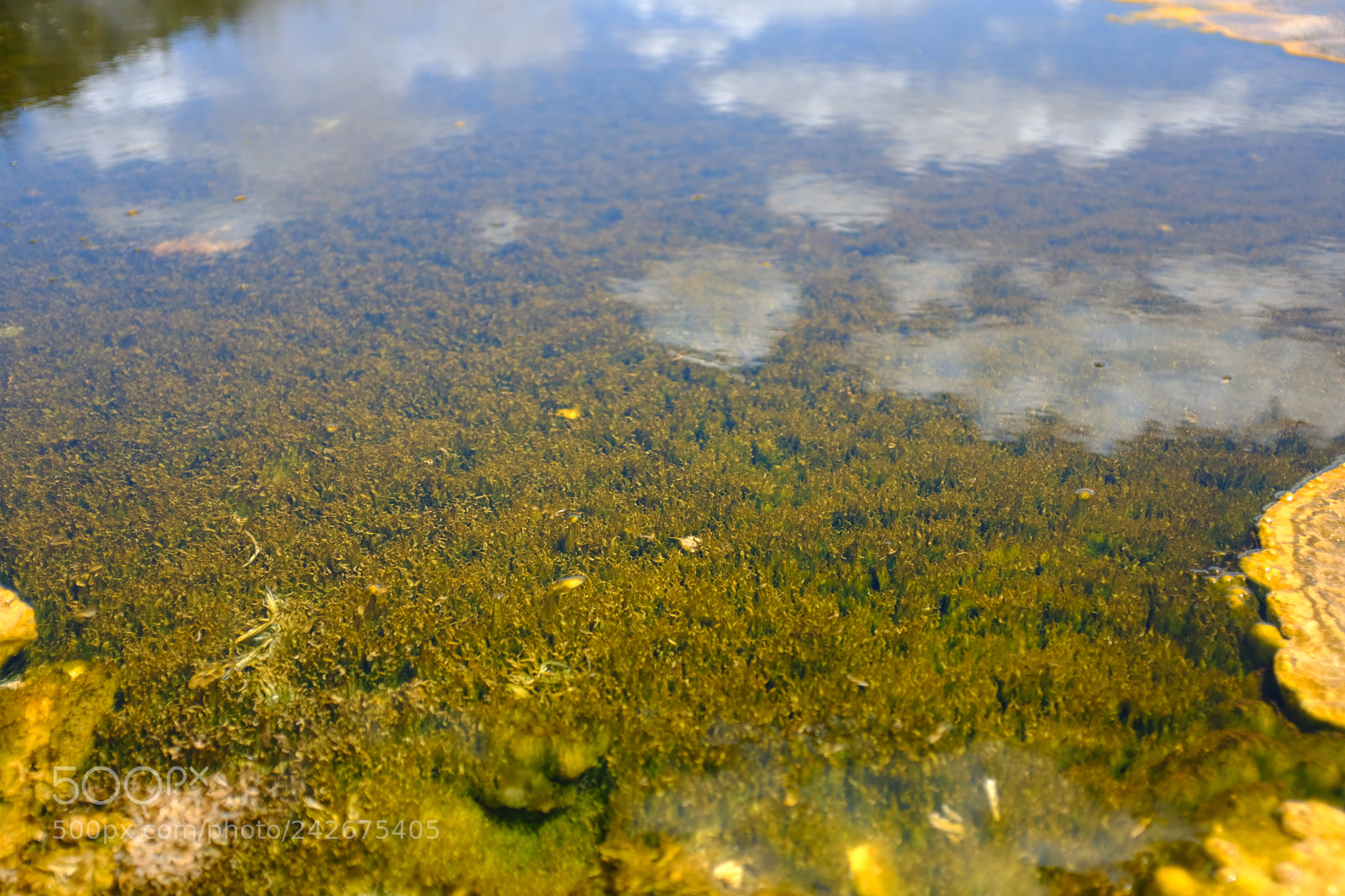 Fujifilm X100F sample photo. Yellowstone photography