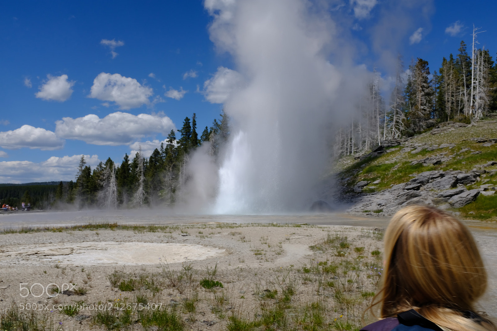 Fujifilm X100F sample photo. Yellowstone photography