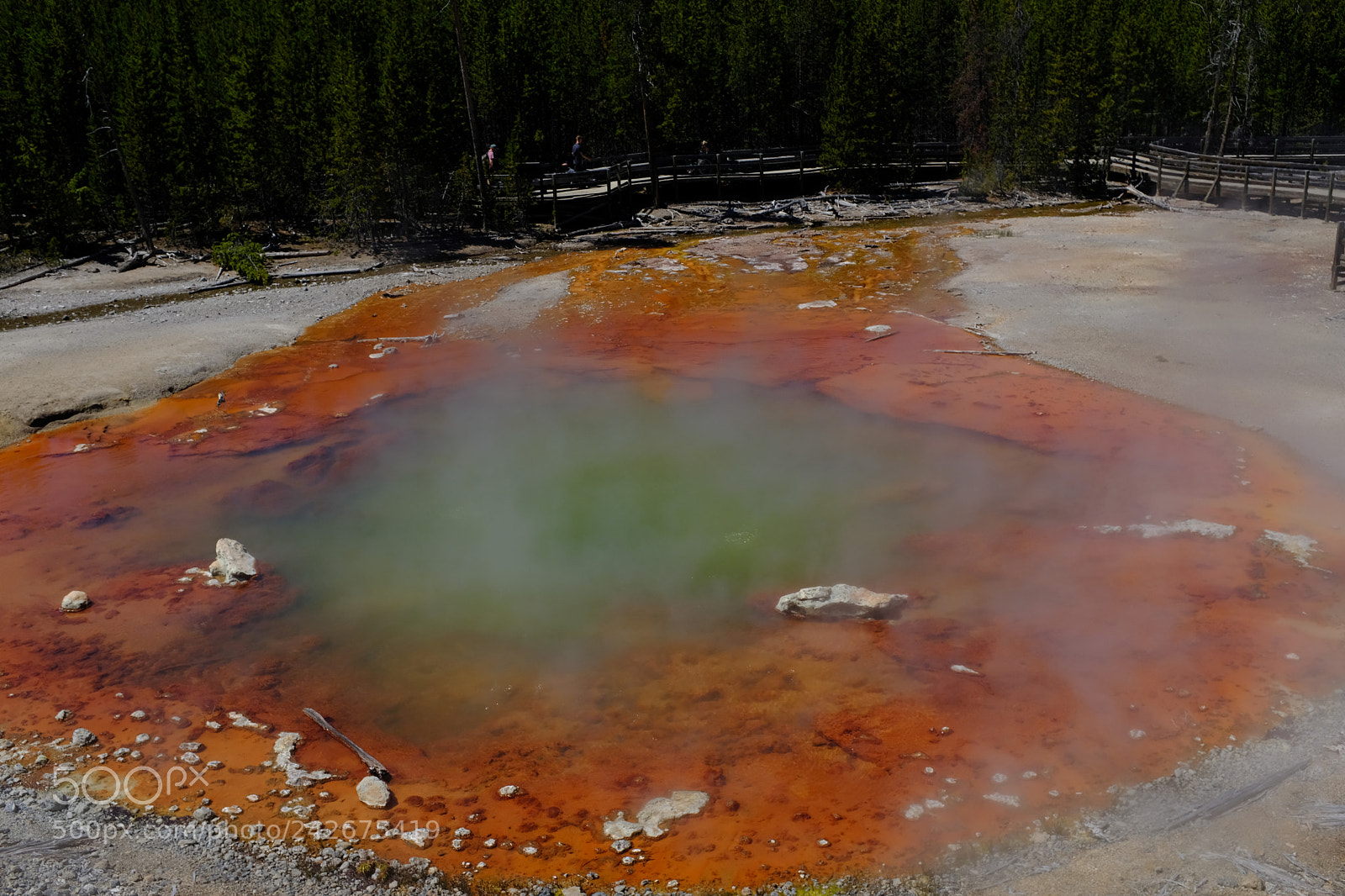 Fujifilm X100F sample photo. Yellowstone photography