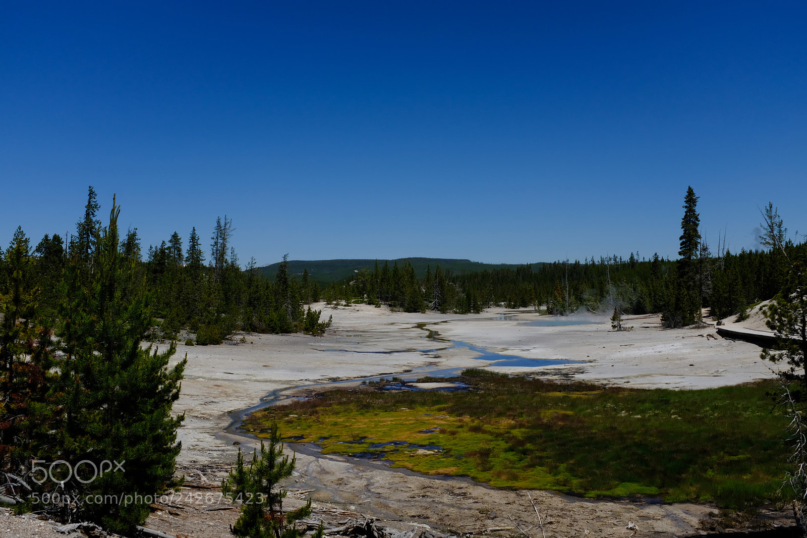 Fujifilm X100F sample photo. Yellowstone photography