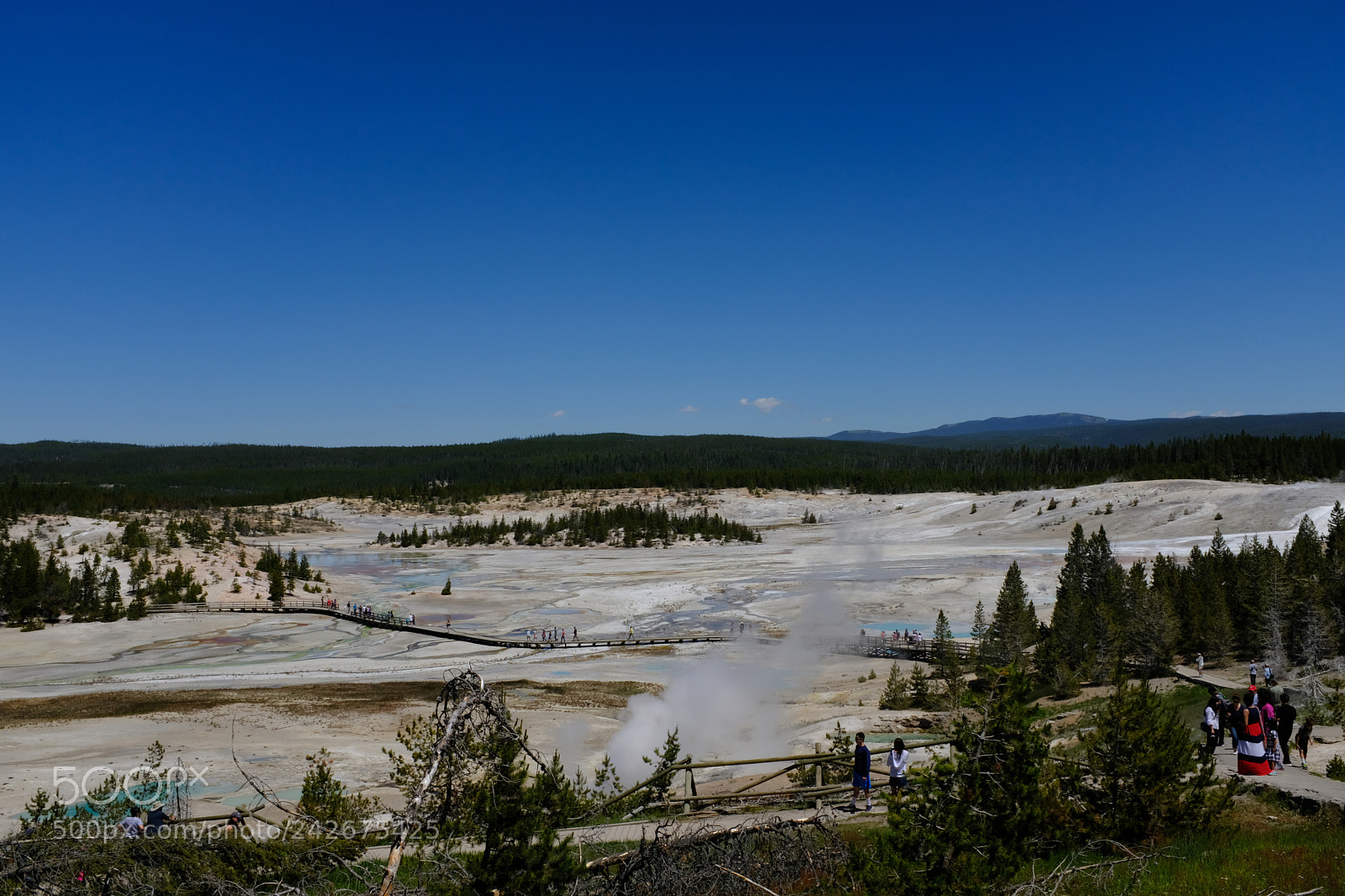 Fujifilm X100F sample photo. Yellowstone photography