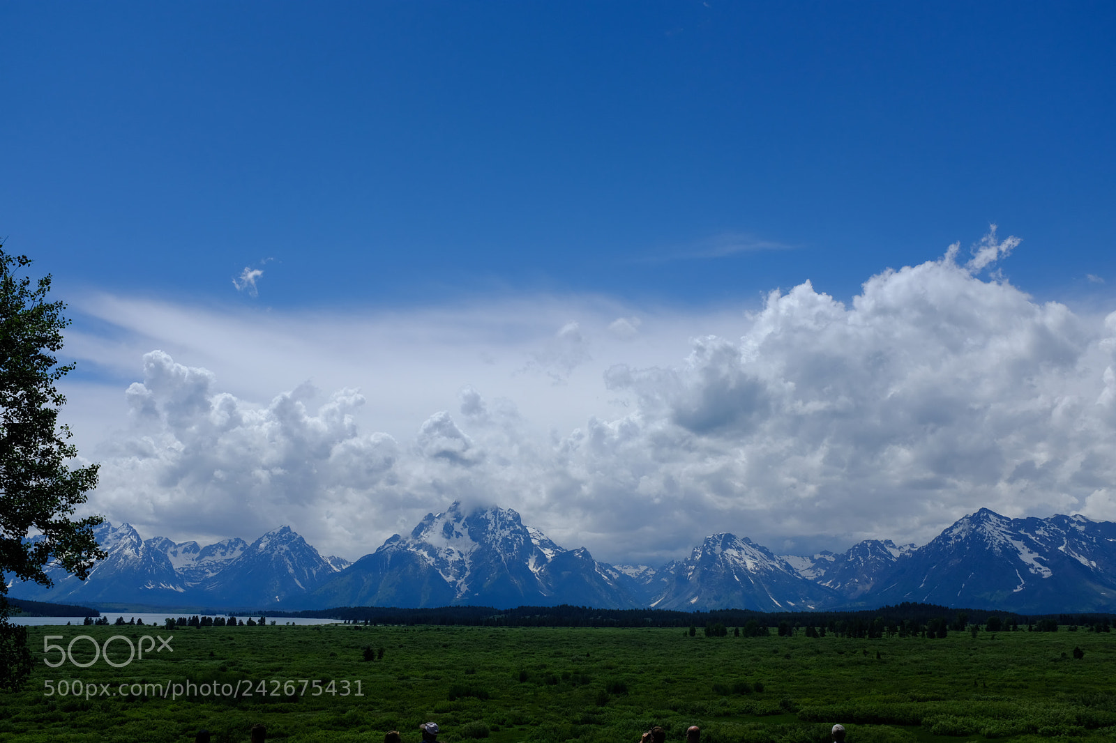 Fujifilm X100F sample photo. Grand tetons photography