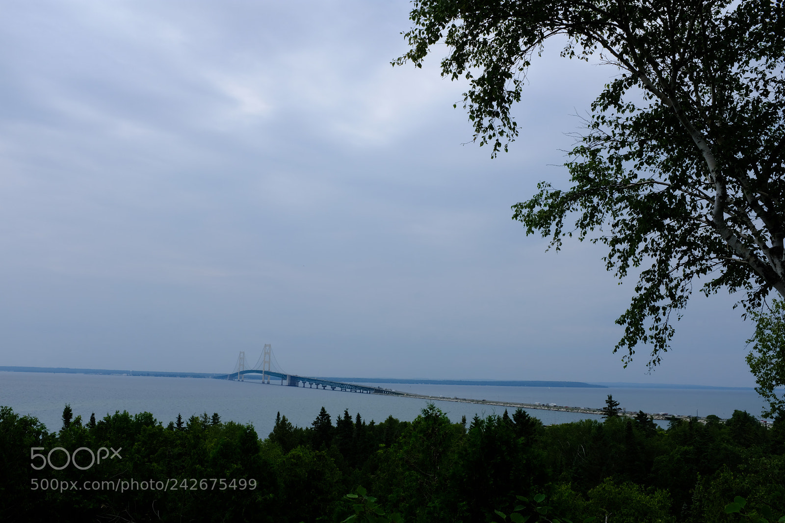 Fujifilm X100F sample photo. Mackinaw city and bridge photography