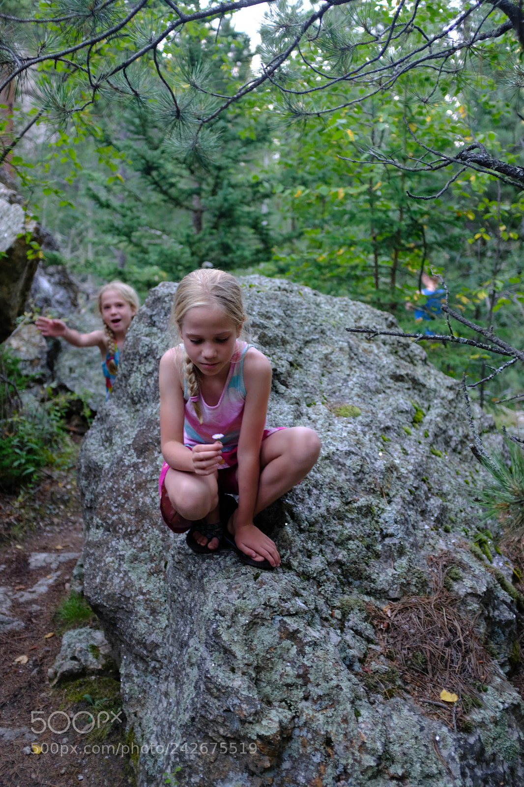 Fujifilm X100F sample photo. Black hills, sd photography