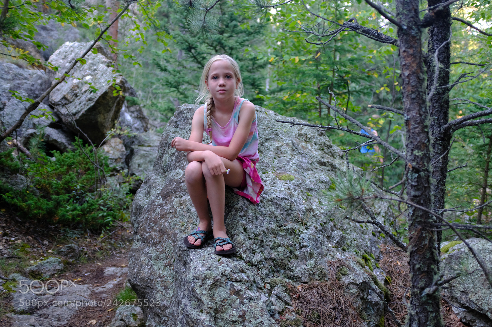 Fujifilm X100F sample photo. Black hills, sd photography