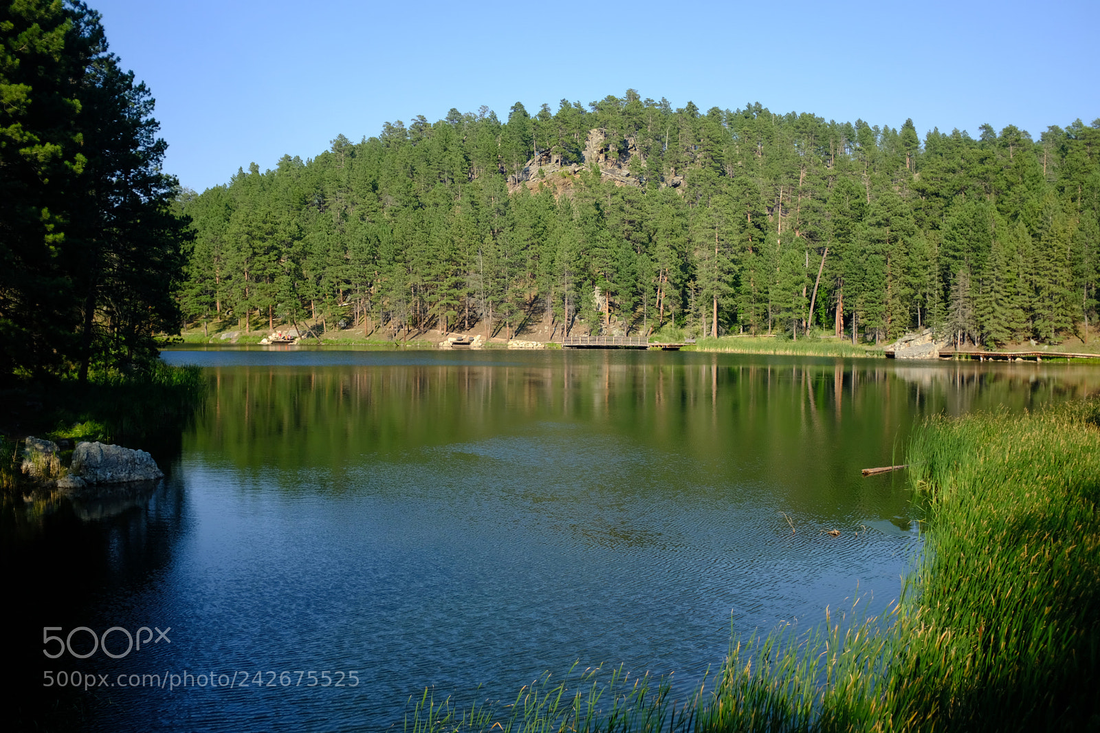 Fujifilm X100F sample photo. Black hills, sd photography