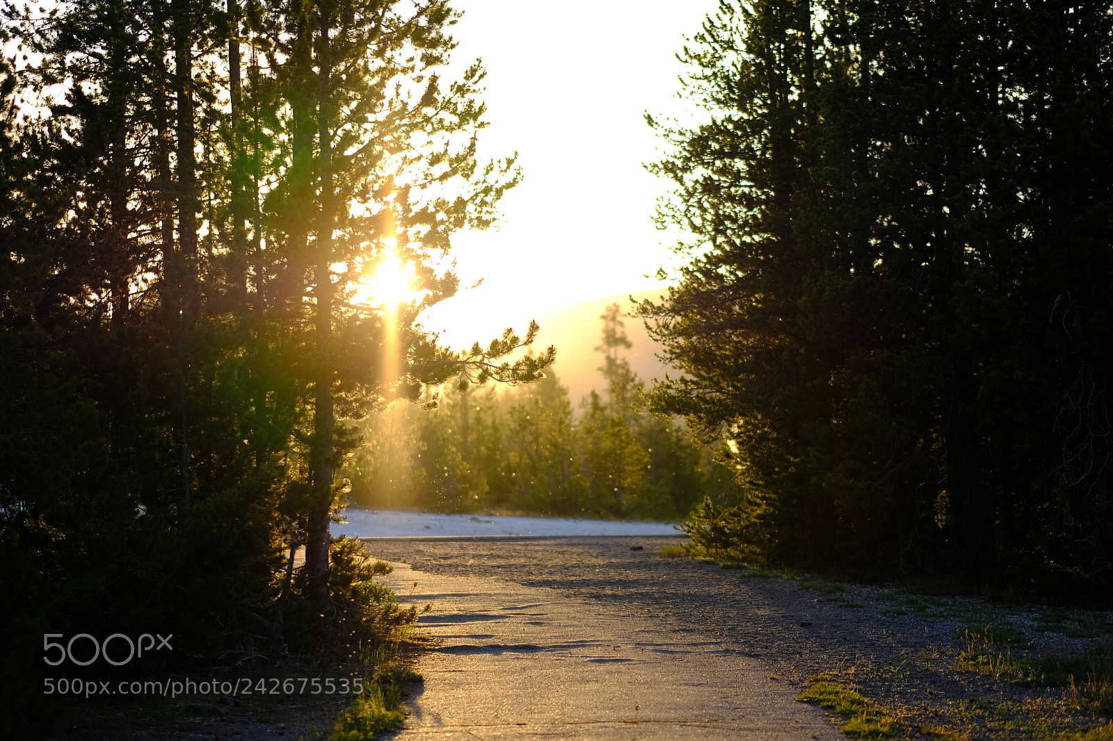 Fujifilm X-T2 sample photo. Yellowstone photography