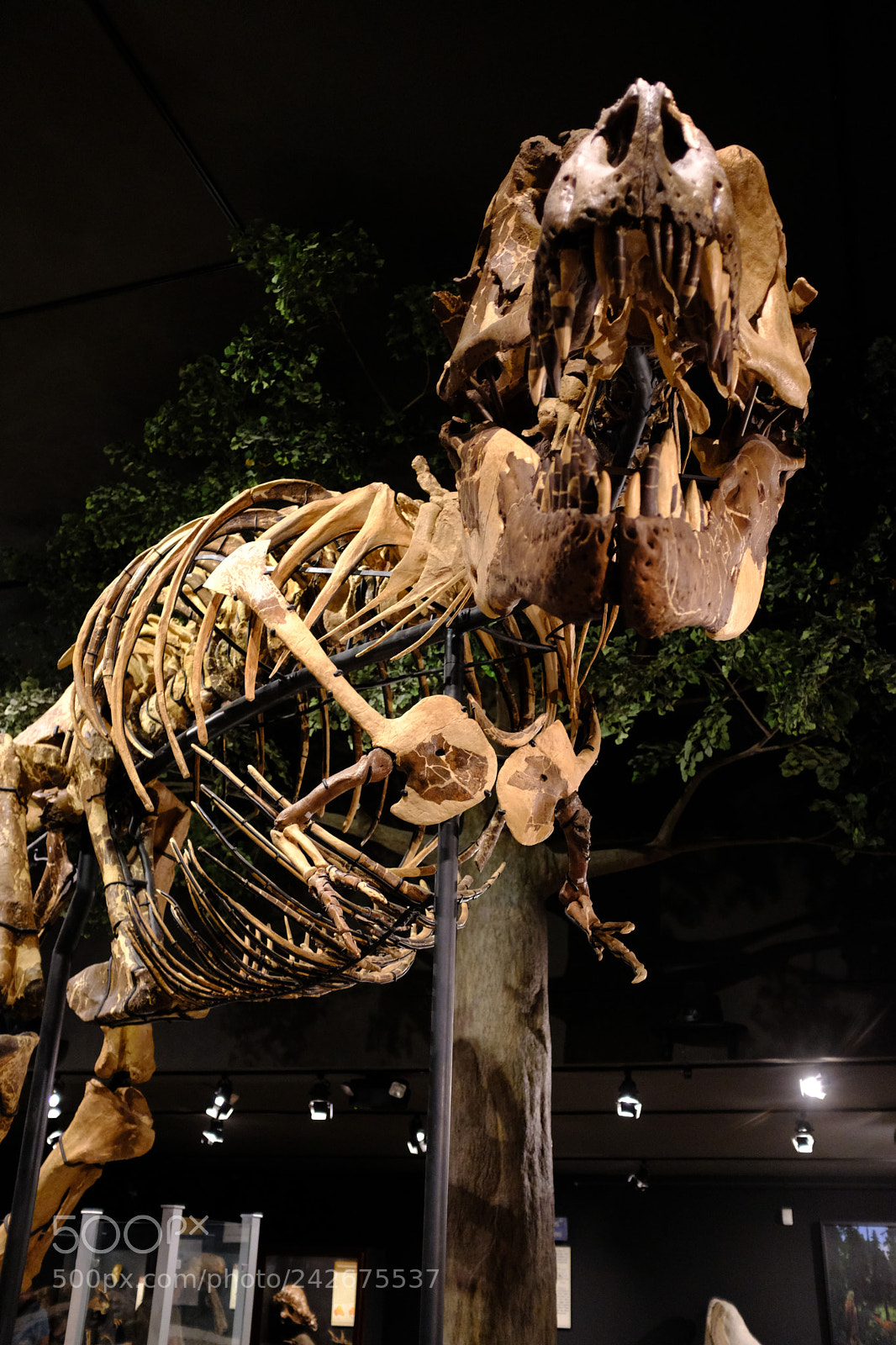 Fujifilm X100F sample photo. Museum of the rockies photography