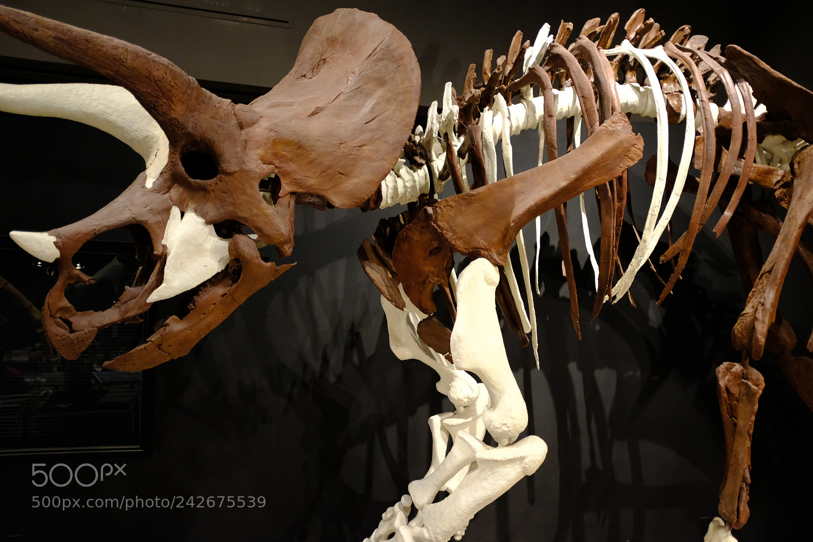 Fujifilm X100F sample photo. Museum of the rockies photography