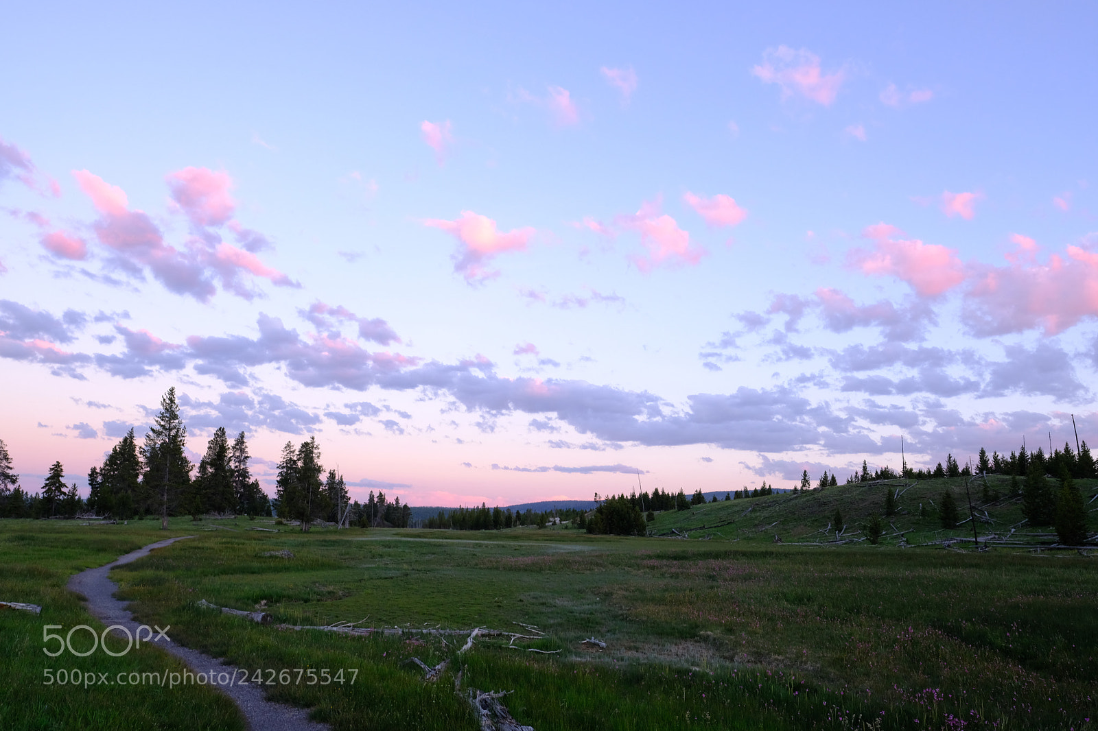 Fujifilm X-T2 sample photo. Yellowstone photography