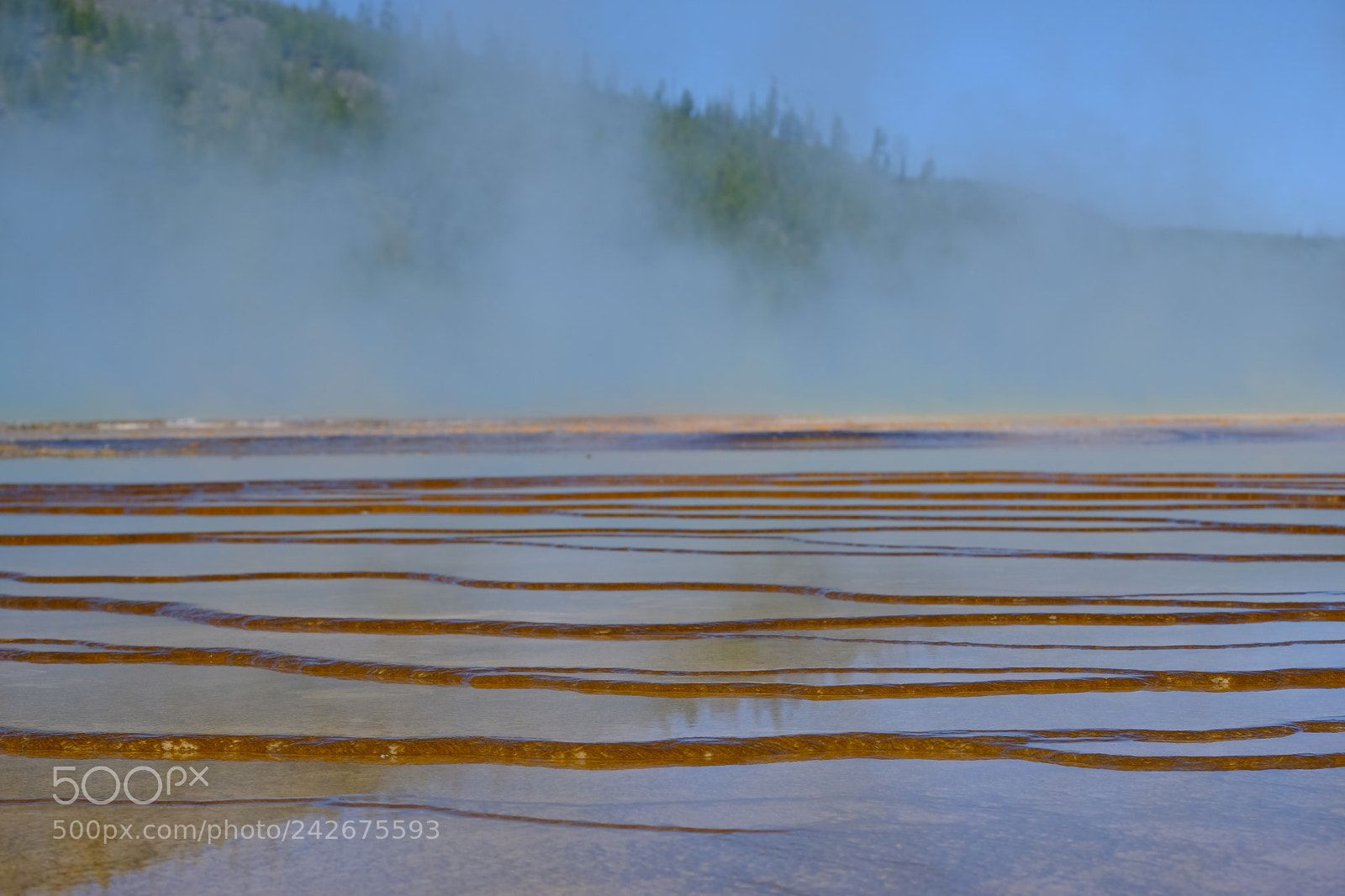 Fujifilm X-T2 sample photo. Yellowstone photography