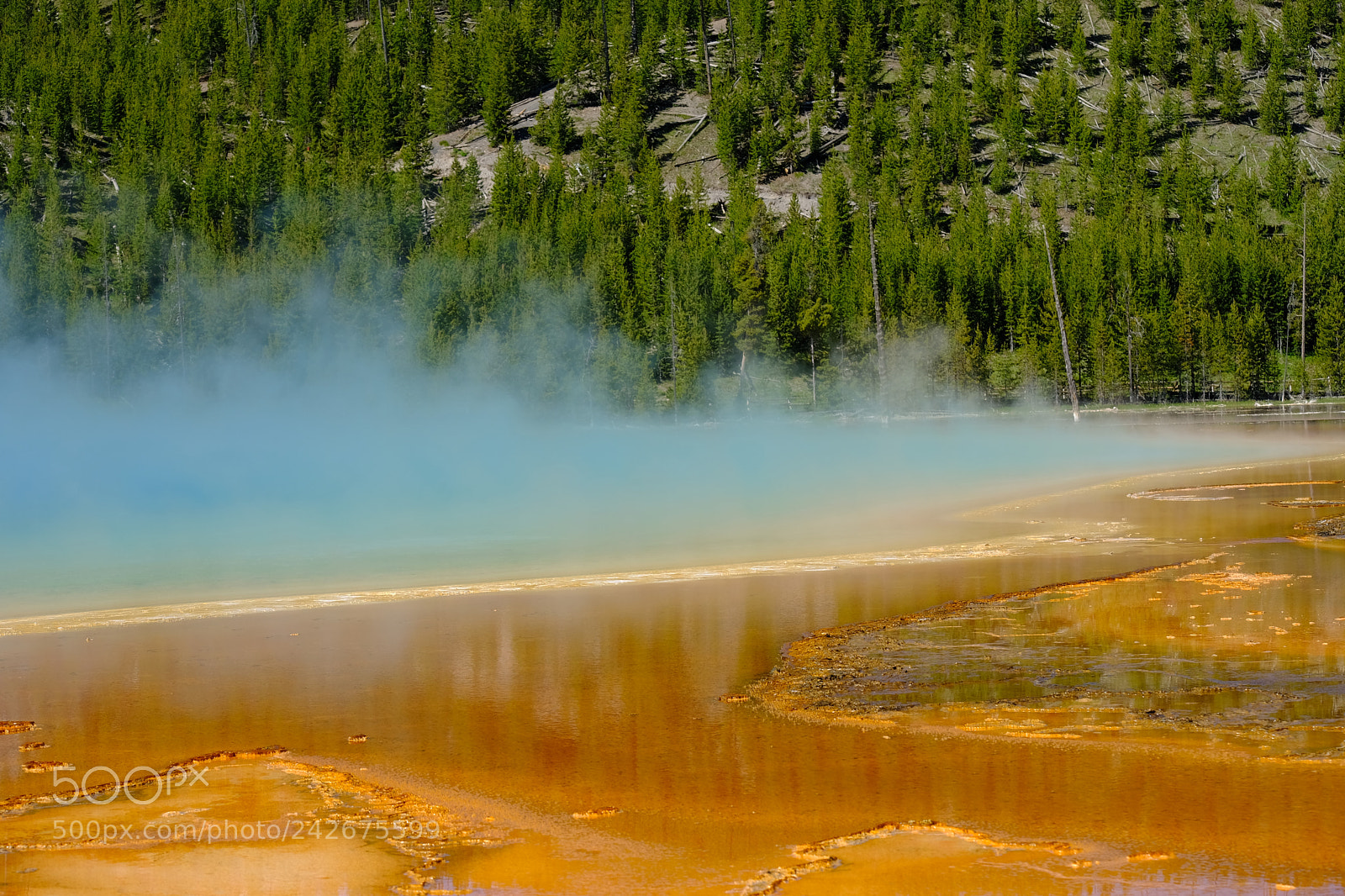 Fujifilm X-T2 sample photo. Yellowstone photography