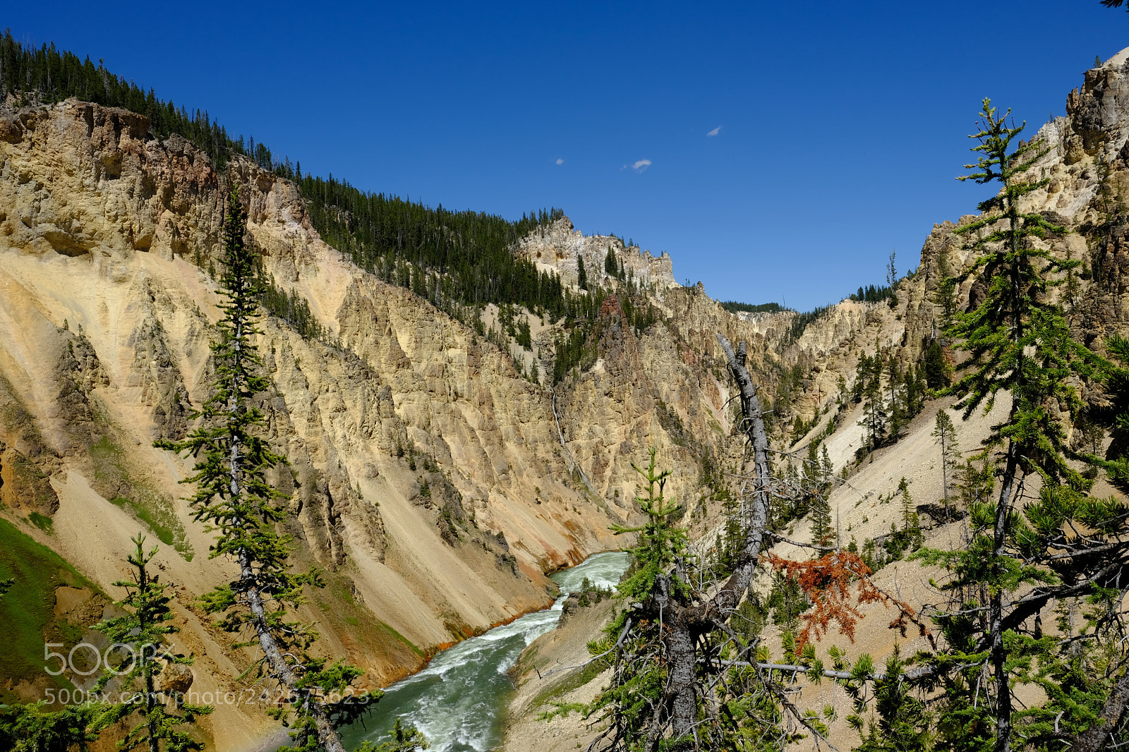 Fujifilm X-T2 sample photo. Yellowstone photography