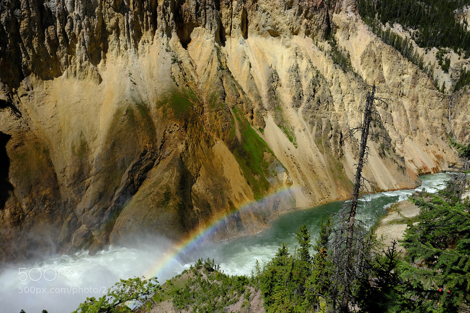 Fujifilm X-T2 sample photo. Yellowstone photography