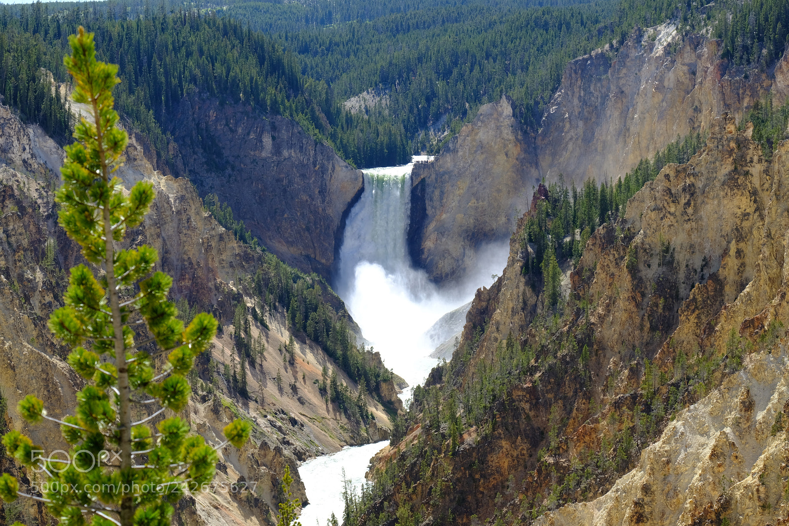 Fujifilm X-T2 sample photo. Yellowstone photography