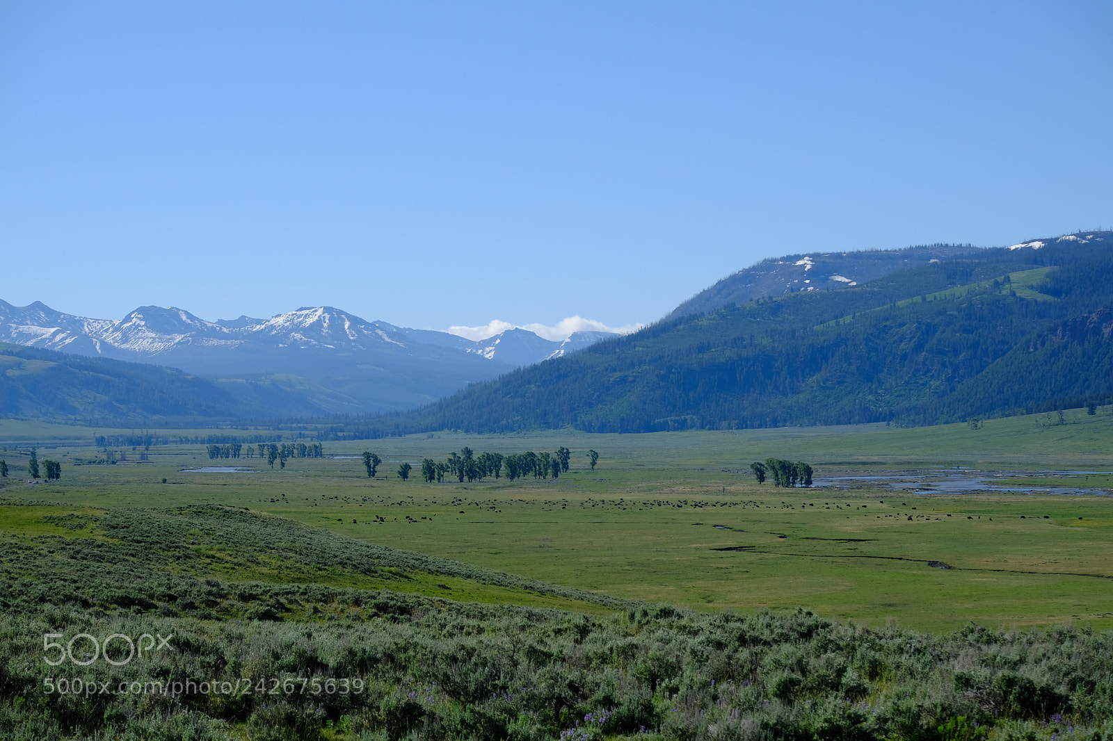 Fujifilm X-T2 sample photo. Yellowstone photography