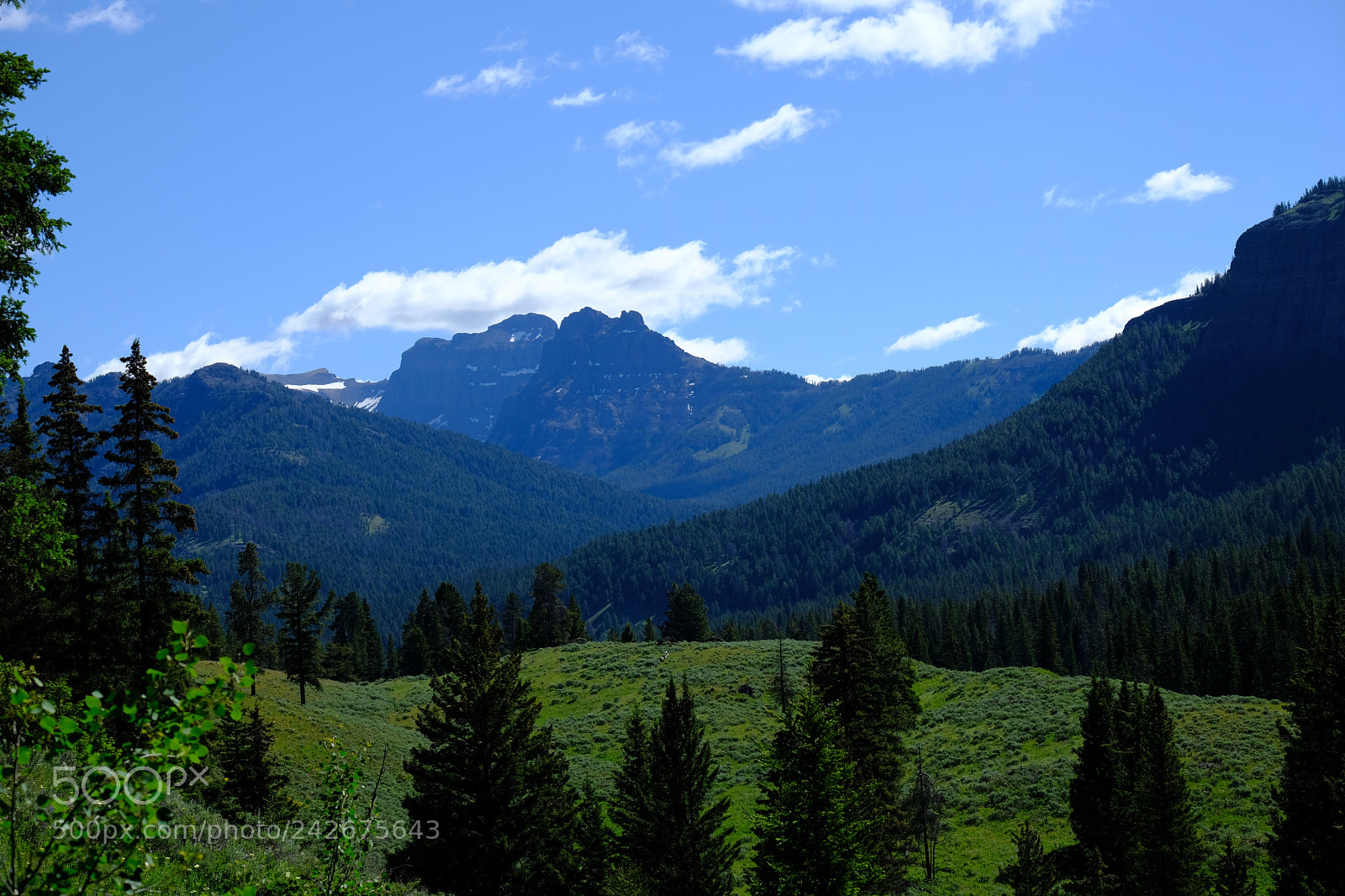 Fujifilm X-T2 sample photo. Yellowstone photography