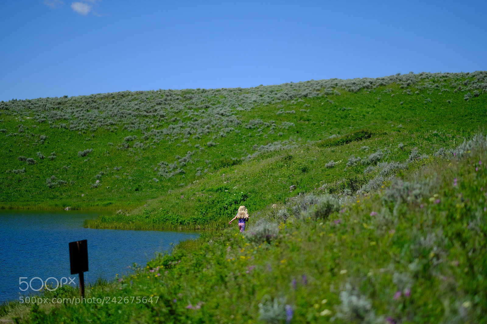 Fujifilm X-T2 sample photo. Yellowstone photography
