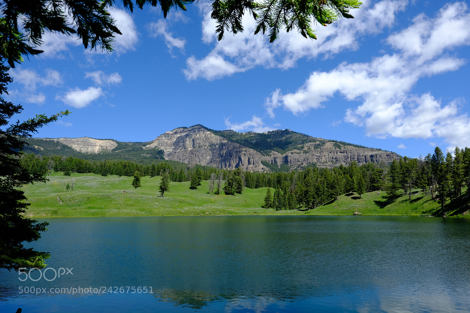Fujifilm X-T2 sample photo. Yellowstone photography