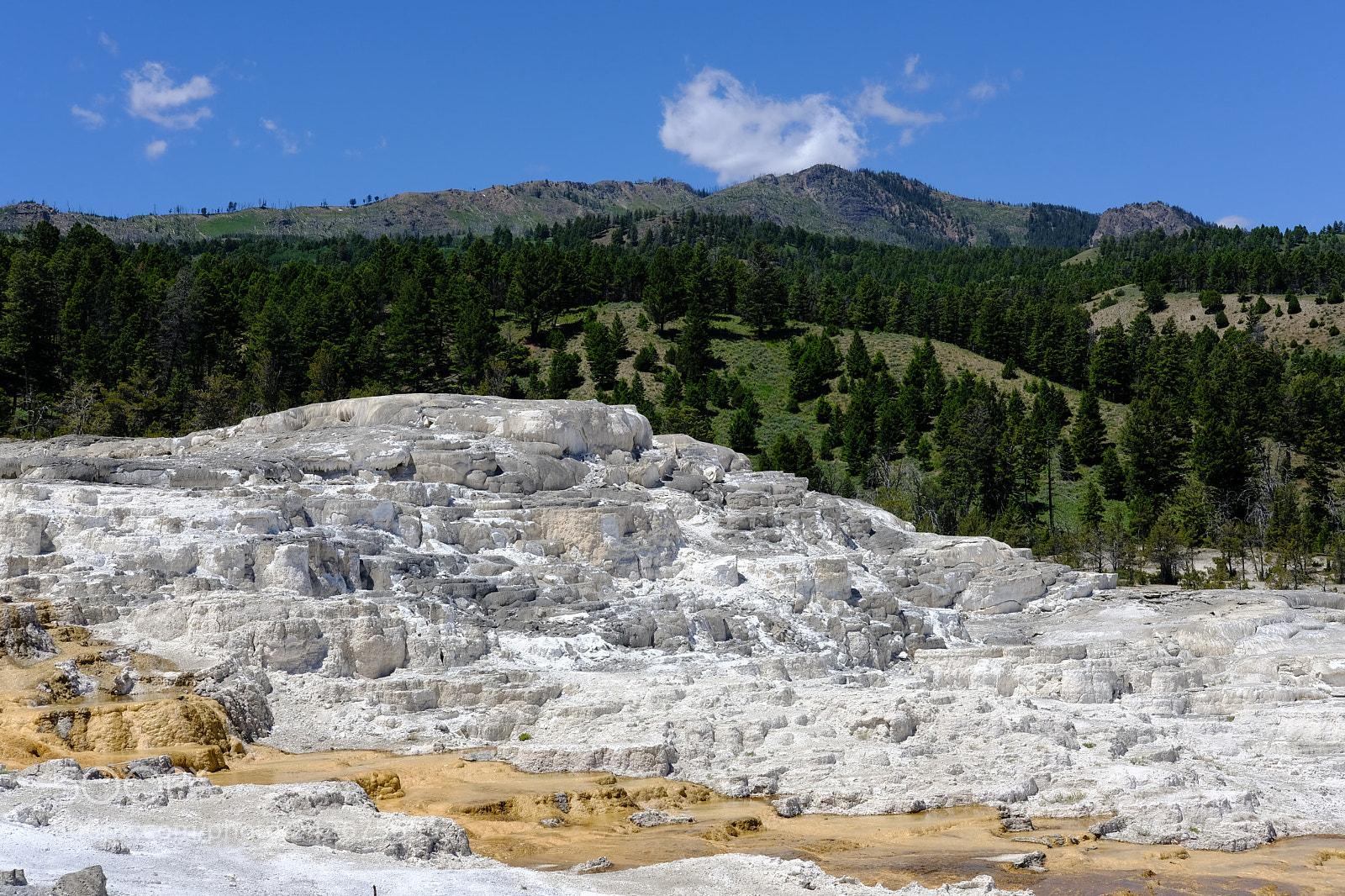 Fujifilm X-T2 sample photo. Yellowstone photography